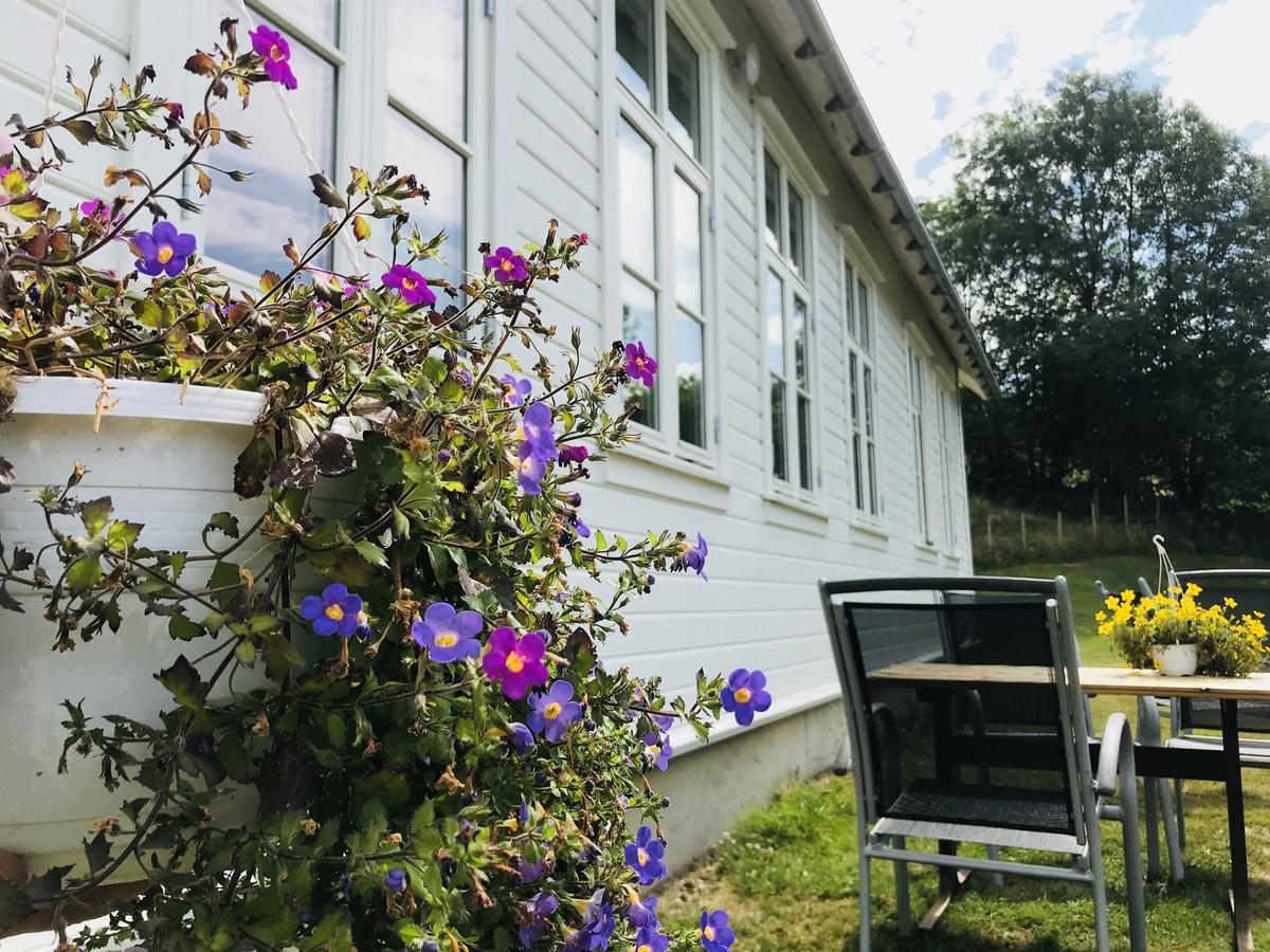Hoiland Gard Gardshotellet Hjelmeland المظهر الخارجي الصورة