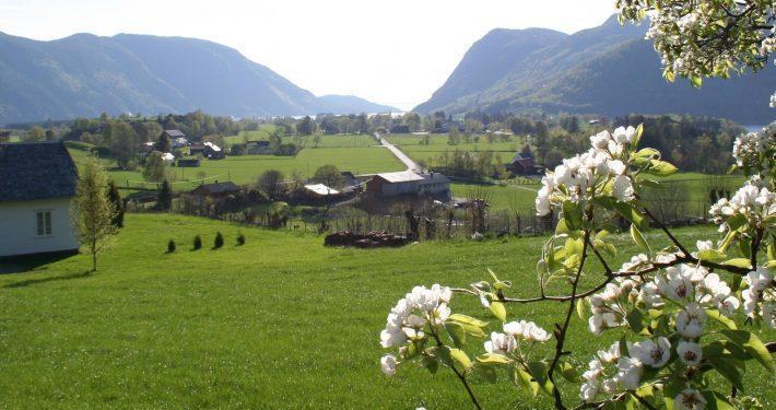 Hoiland Gard Gardshotellet Hjelmeland المظهر الخارجي الصورة